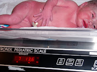 7 lb 14 oz