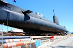 DSC_0021-1.JPG