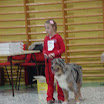 barn-hund-3.jpg