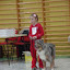 barn-hund-3.jpg