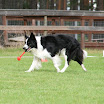 IMG_8810_.jpg