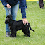 DSC_0232.JPG