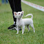 DSC_0259.JPG