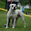 DSC_0071.JPG