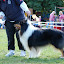 DSC_0609.JPG