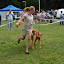 DSC_0757.JPG