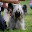 DSC_0910.JPG