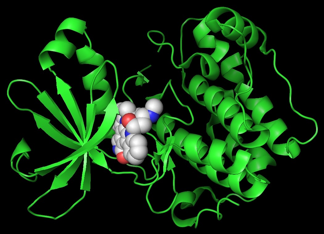 [k_pymol[5].jpg]