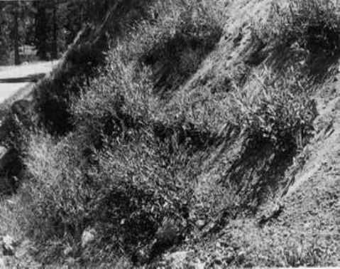 clip_image008 clip_image008