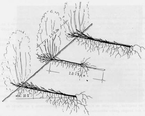 clip_image020 clip_image020