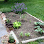 heidi33's Herb garden