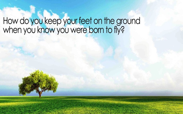 [Borntofly18.jpg]