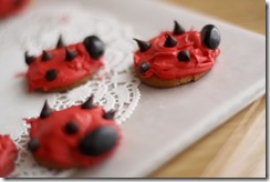 ladybugparty3