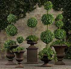 [RHTopiary3.jpg]