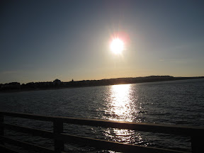 image233.jpg