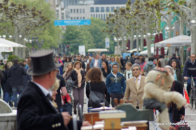 DSC02495-1.JPG