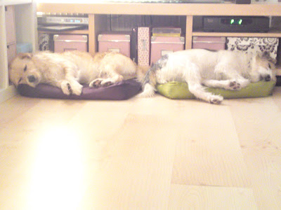 15022010142.JPG