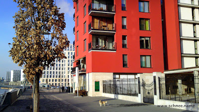 10032010409.JPG
