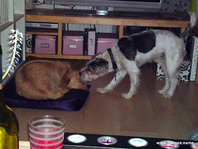 21032010544.JPG