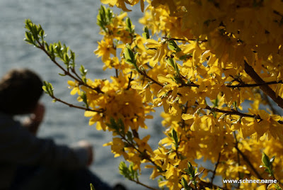 DSC01422.JPG