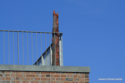 DSC00071-1.JPG