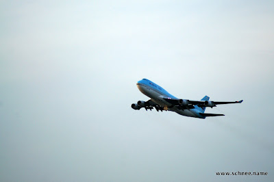 DSC01312-1.JPG