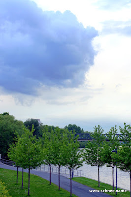 DSC03573.JPG