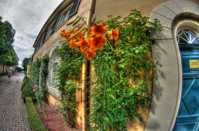 DSC08395_6_7_tonemapped.jpg