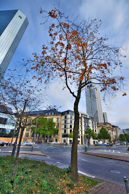 DSC03244_5_6_tonemapped.jpg