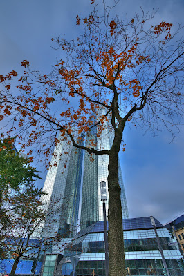 DSC03998_8_9_tonemapped.jpg