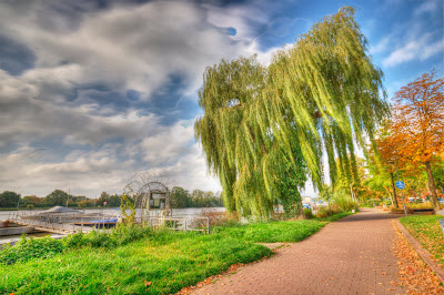 DSC03332_3_tonemapped.jpg