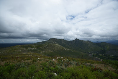 DSC05773.JPG