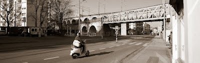 DSC08337.JPG