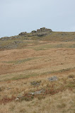 IMG_2174.jpg