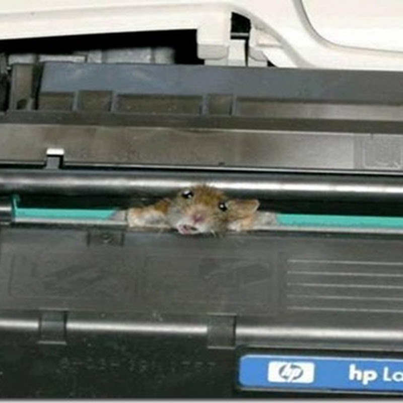 Printer not in working order....>>>>