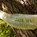 P1000296.JPG