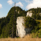 P1000596.JPG