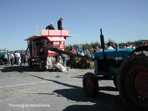 Sam Maguire Threshing 130909 007.jpg