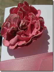 DSCN5179
