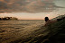 All Rights Reserved. Copyright &copy; 2010 Trevor Thompson