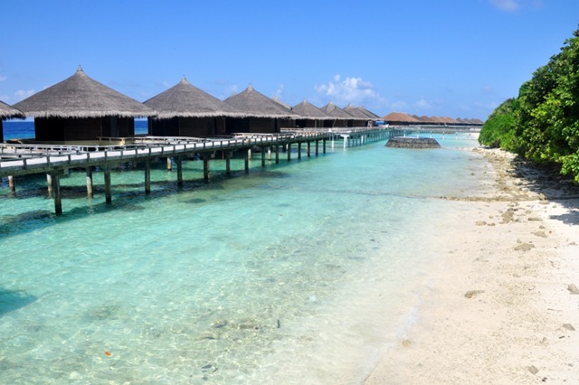 [DSC_0173[6].jpg]