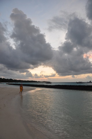 [DSC_0116[2].jpg]