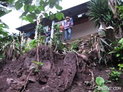 [manipur storm uproots trees[4].jpg]