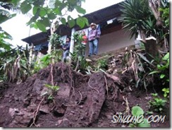 manipur storm uproots trees
