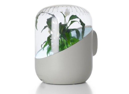 [plant_air_purifier[5].jpg]