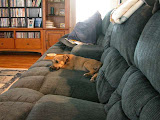 DSCN5222.JPG