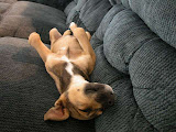 DSCN5226.JPG