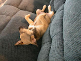 DSCN5227.JPG