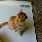 22012009319.jpg