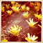Bromélia (Bromelia)